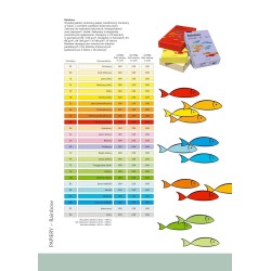 Papier Ksero A4/160g Rainbow R06 kość słoniowa 250ark.