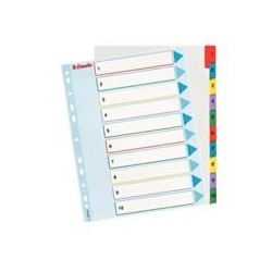 Przekładki Kartonowe Z Laminowaną Kartą Opisową Esselte A4 1-10 100208 262593