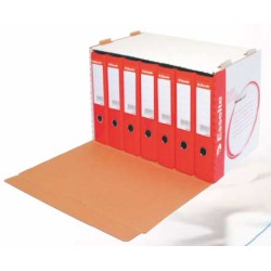 Pudło Archiwizacyjne Esselte Na Segregatory 338x306x525 Białe 10964 261512